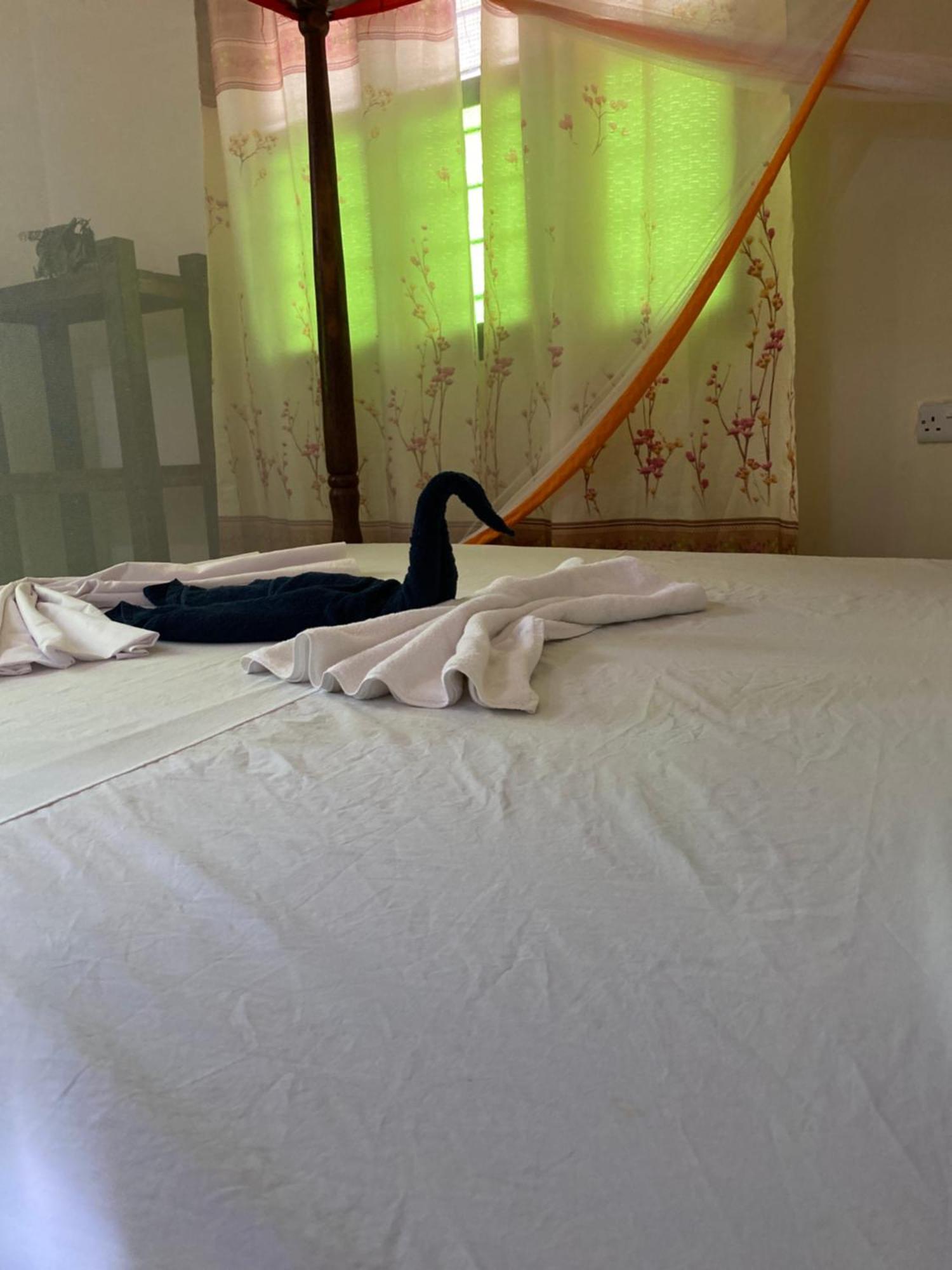 Couette-café Falcon House *